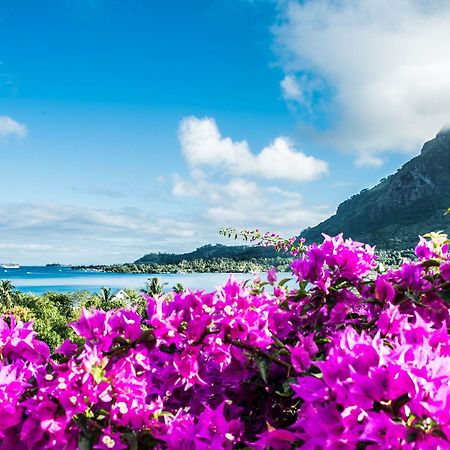 Villa Rea Hanaa Bora Bora Ngoại thất bức ảnh