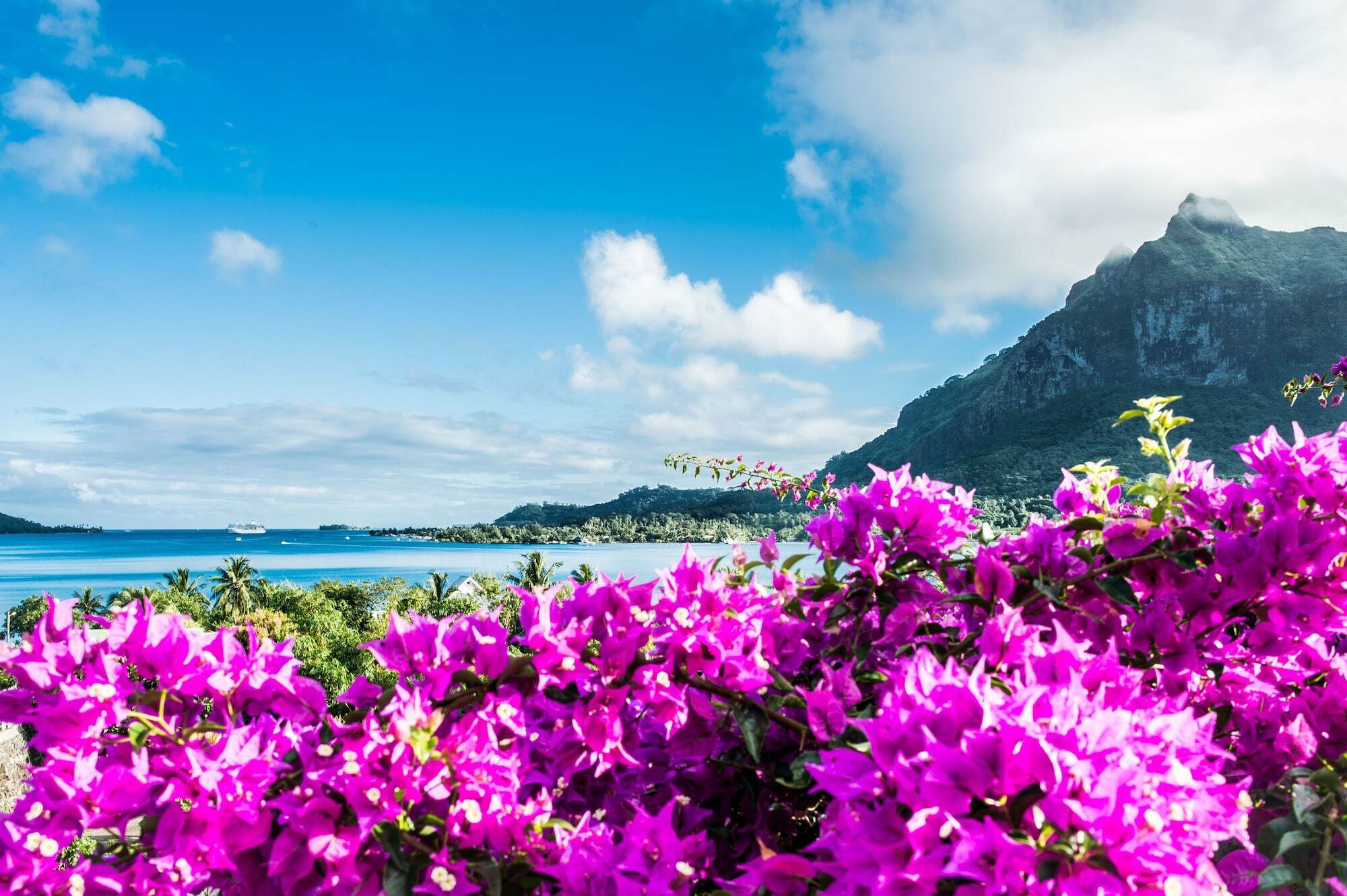 Villa Rea Hanaa Bora Bora Ngoại thất bức ảnh